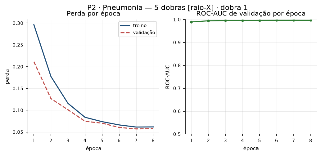 p2_pneumonia_cv_treino.png